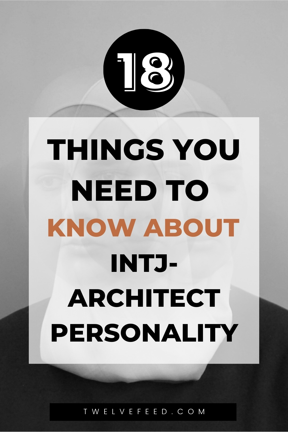 18 Things You Need To Know About INTJ-Architect Personality