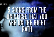 5 Signs From the Universe That You Are on the Right Path