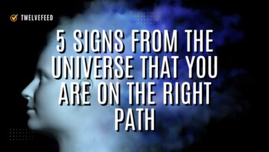 5 Signs From the Universe That You Are on the Right Path