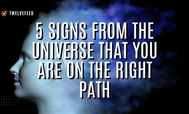 5 Signs From the Universe That You Are on the Right Path